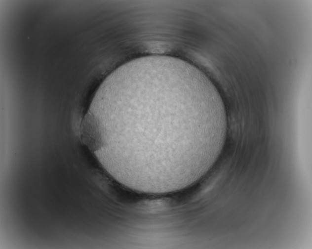 X0000088430307200706121455