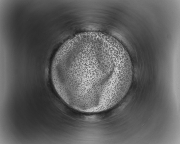 X0000088430309200706121455