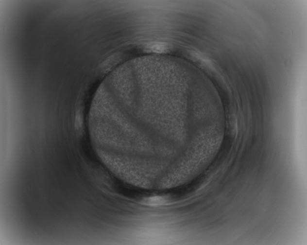 X0000088430312200706121455