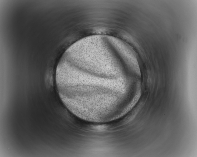 X0000088430313200706121455