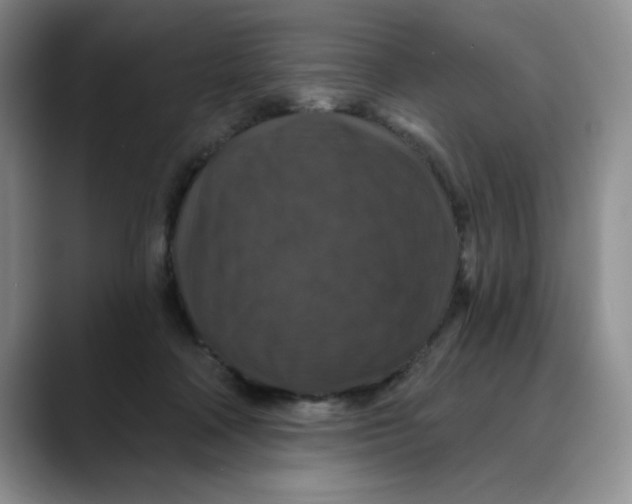 X0000088430314200706121455