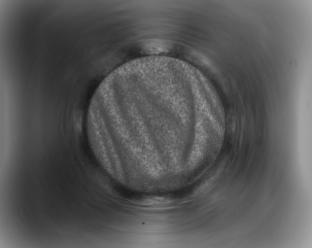 X0000088430315200706121455