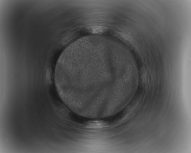 X0000088430316200706121455