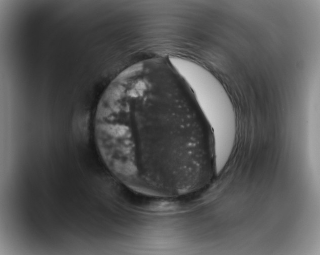 X0000088430319200706121455