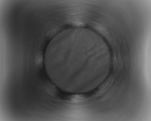 X0000088430320200706121455