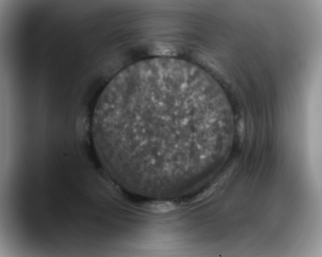 X0000088430322200706121455