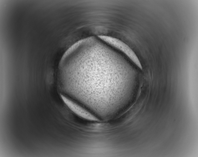 X0000088430323200706121455