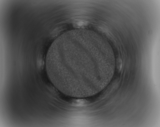 X0000088430324200706121455