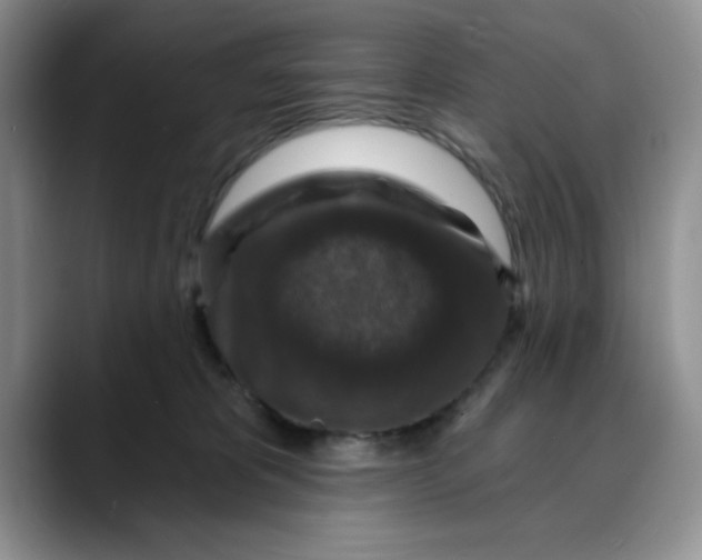 X0000088430325200706121455