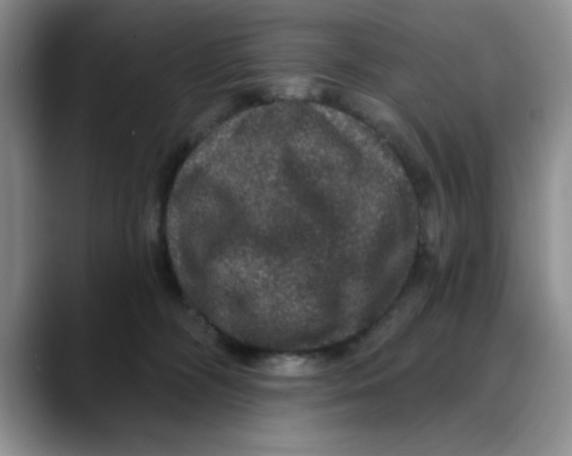 X0000088430326200706121455