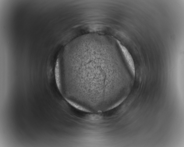 X0000088430327200706121455