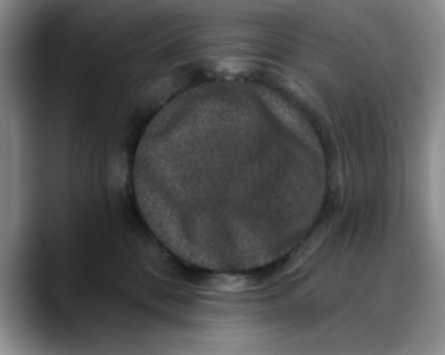 X0000088430328200706121455