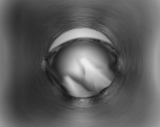 X0000088430329200706121455