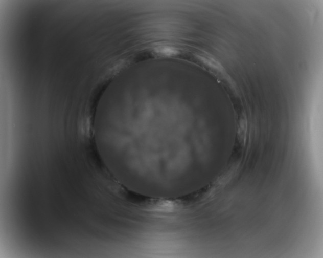 X0000088430330200706121455