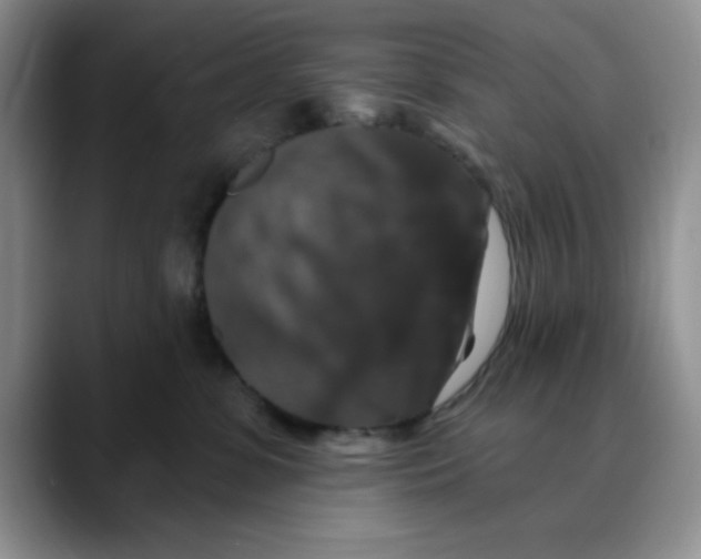 X0000088430331200706121455