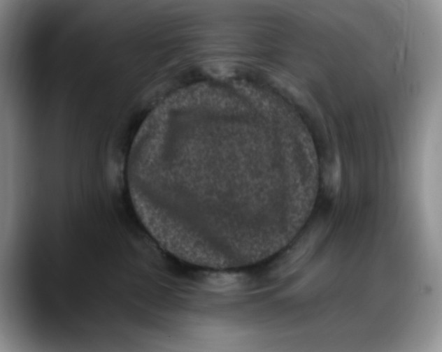 X0000088430332200706121455