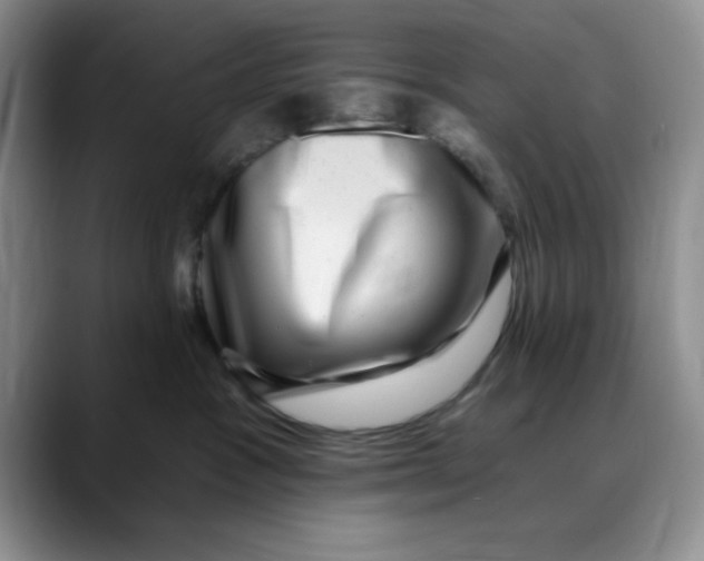 X0000088430333200706121455