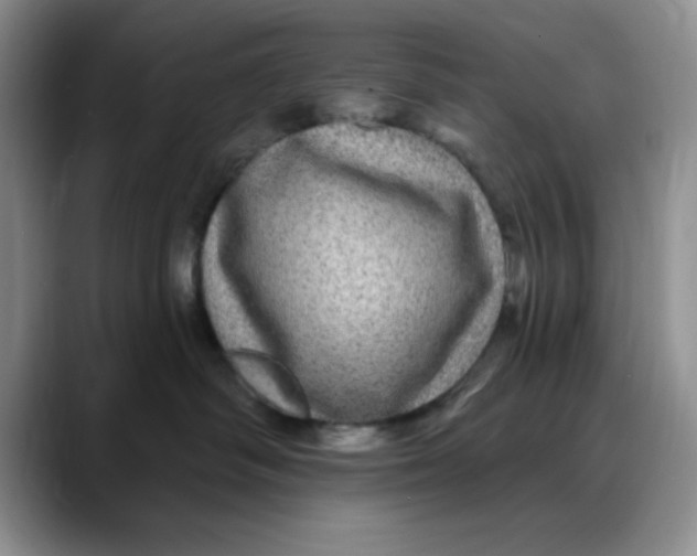 X0000088430334200706121455