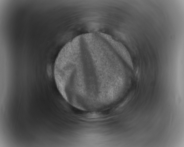 X0000088430335200706121455