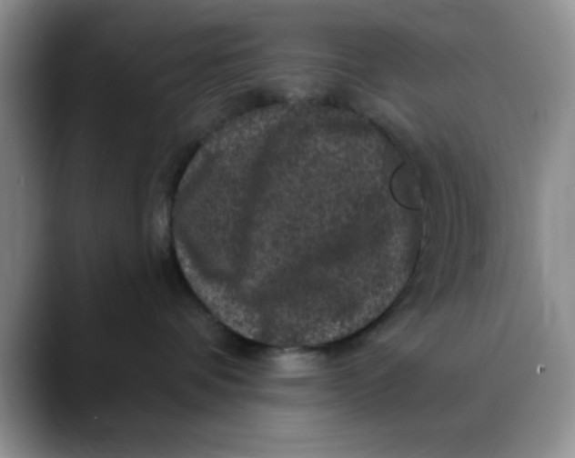 X0000088430336200706121455