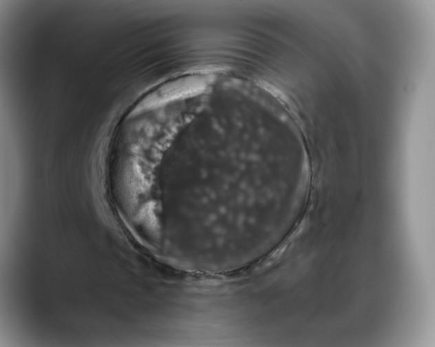 X0000088430337200706121454