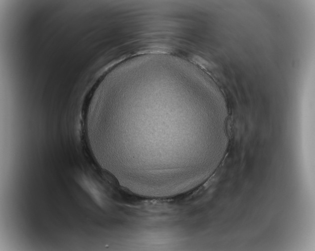 X0000088430338200706121454