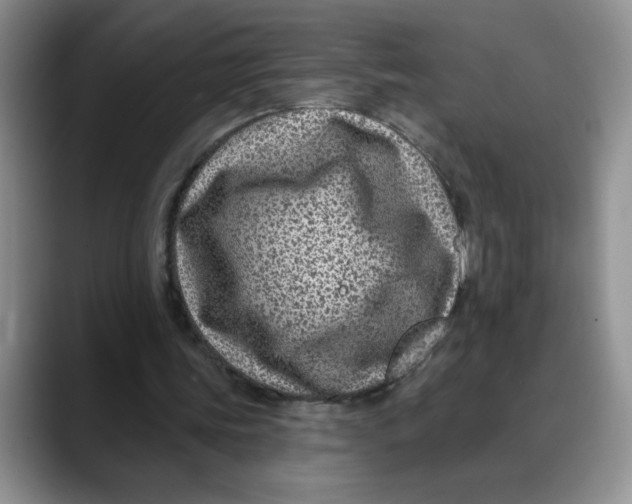 X0000088430339200706121454