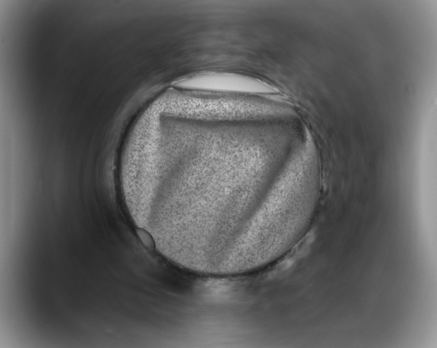 X0000088430341200706121454