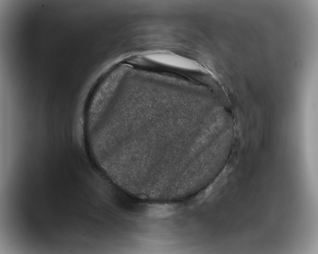 X0000088430342200706121455