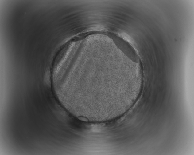 X0000088430345200706121455