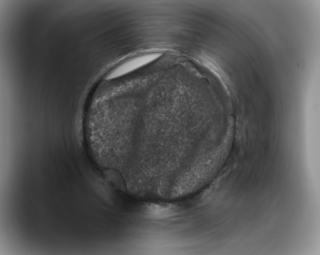 X0000088430346200706121455