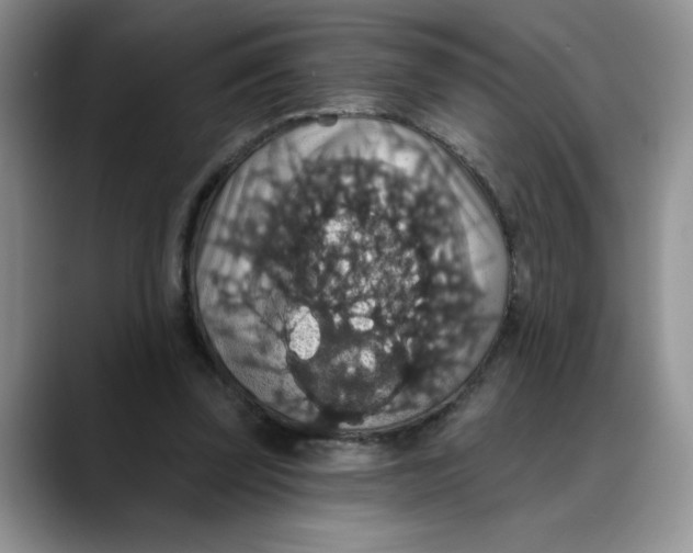 X0000088430347200706121455