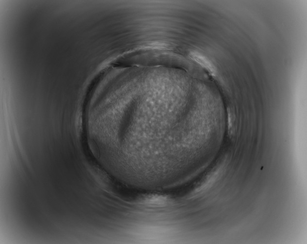 X0000088430348200706121455