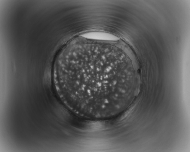 X0000088430349200706121455