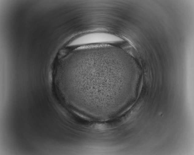 X0000088430350200706121455