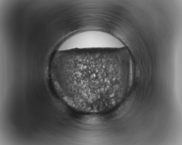 X0000088430351200706121455