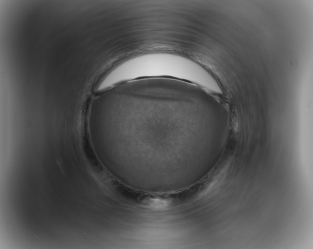 X0000088430352200706121455