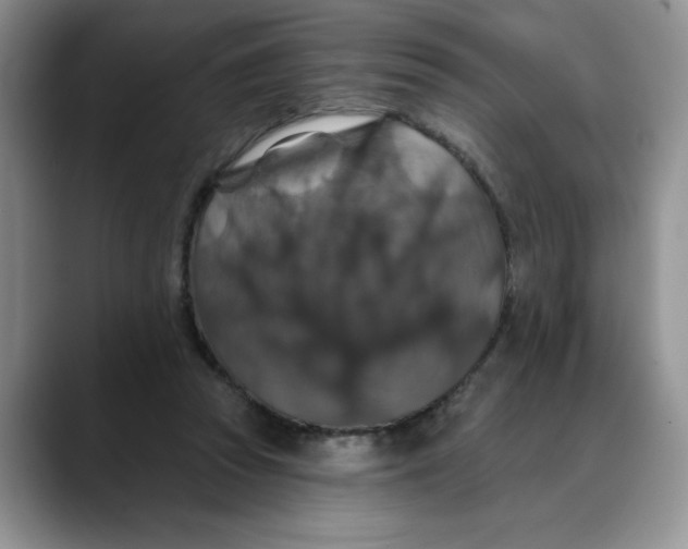 X0000088430353200706121455