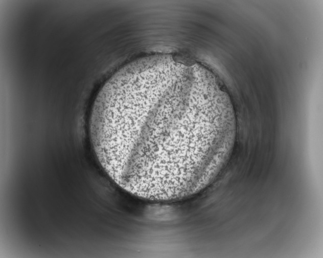 X0000088430354200706121455