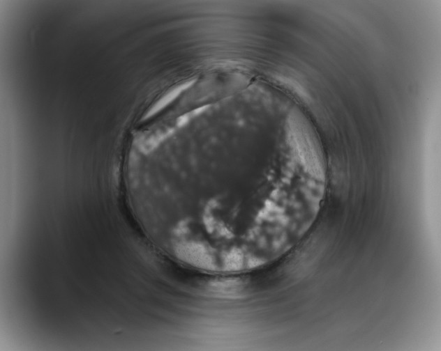 X0000088430357200706121455