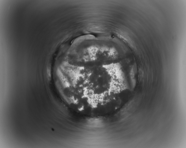 X0000088430358200706121455