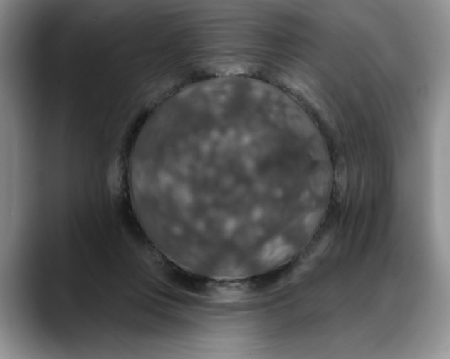 X0000088430359200706121455