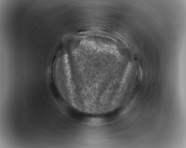 X0000088430360200706121455