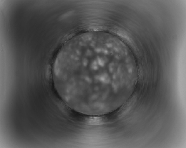 X0000088430361200706121455