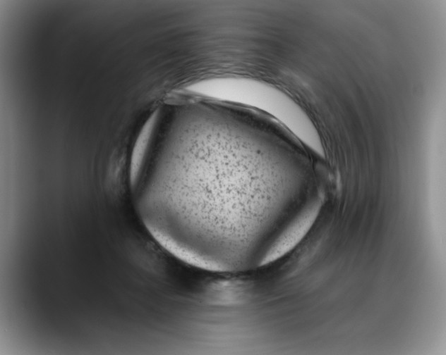 X0000088430364200706121455