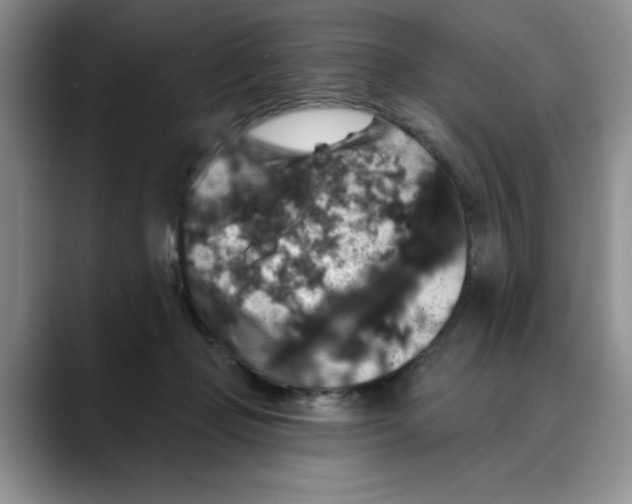 X0000088430365200706121455