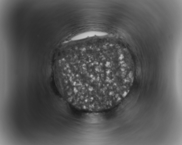 X0000088430367200706121455