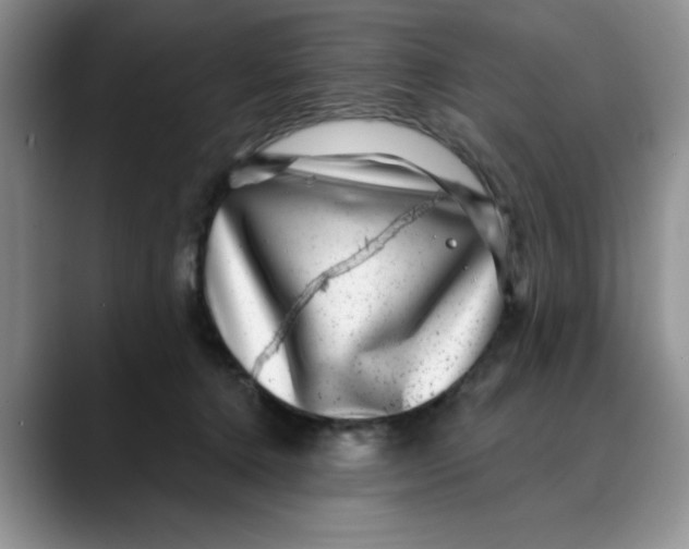 X0000088430368200706121455