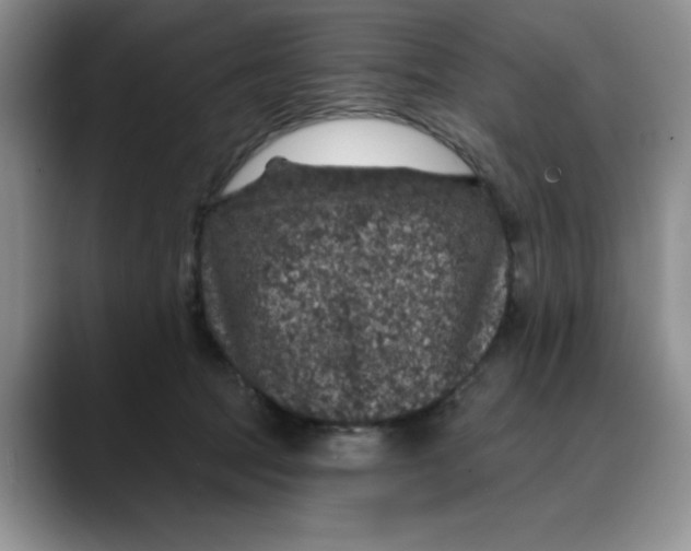 X0000088430369200706121455