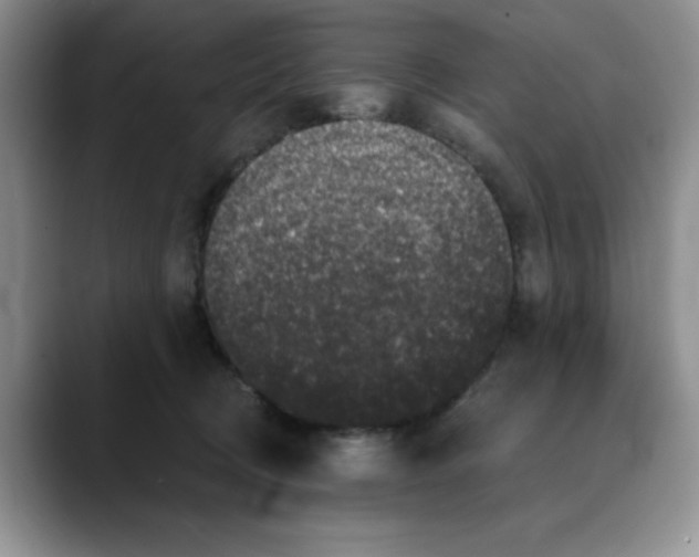 X0000088430370200706121455